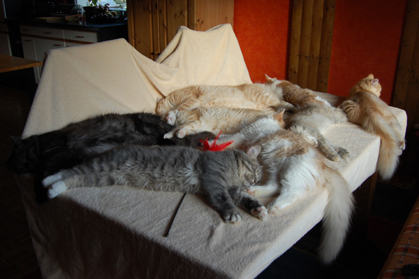 nach dem Shooting.jpg